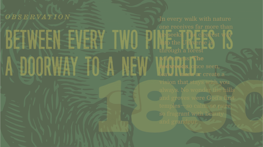 Redwood Empire